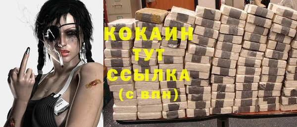 прущие грибы Горнозаводск