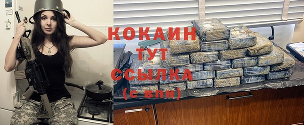 прущие грибы Горнозаводск