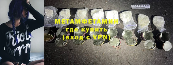 прущие грибы Горнозаводск