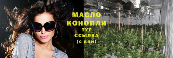 соль ск Тайга