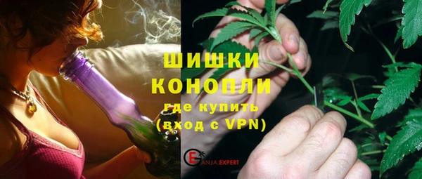 прущие грибы Горнозаводск