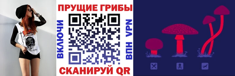 Псилоцибиновые грибы Cubensis  Десногорск 